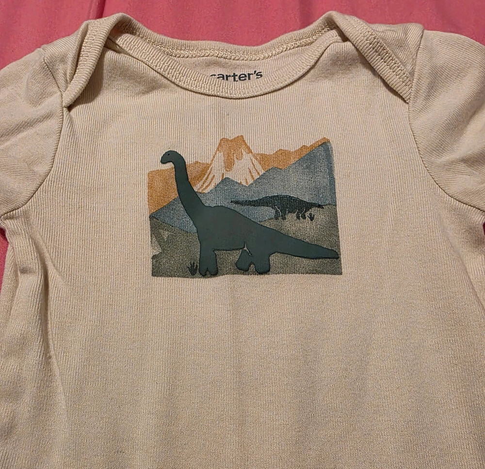 Dinosaur Set - Picture 5 of 5